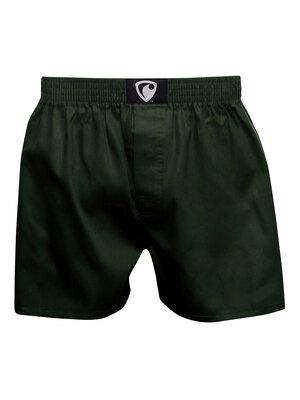 men's boxershorts with woven label EXCLUSIVE ALI - Men's boxer shorts REPRESENT EXCLUSIVE ALI GREEN - R8M-BOX-0610S - S