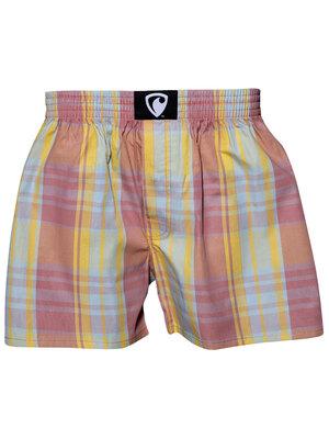 men's boxershorts with woven label CLASSIC ALI - Men's boxer shorts REPRESENT CLASSIC ALI 20108 - R0M-BOX-0108S - S