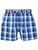 men's boxershorts with Elastic waistband CLASSIC MIKE - Men's boxer shorts REPRESENT CLASSIC MIKE 20211 - R0M-BOX-0211S - S