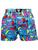men's boxershorts with woven label EXCLUSIVE ALI - Men's boxer shorts REPRESENT EXCLUSIVE ALI PAINTING - R9M-BOX-0610S - S